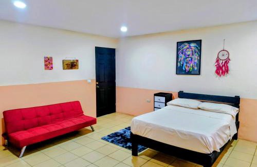 Xico House | EL Jardin De Los Anturios