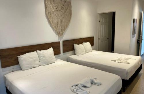 Zazil-ha Hotel | Live Coco Suites - Hotel Boutique & Rooftop