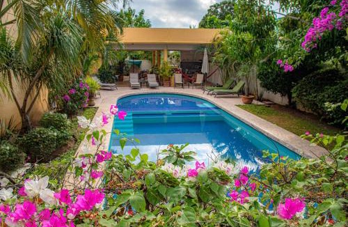 Bacocho Bed & Breakfast | Hotel Zandoyo Bed & Breakfast