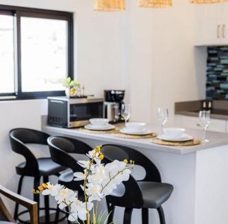 Centro Apartment | Downtown Cabo Gem King Bed Walk Everywhere