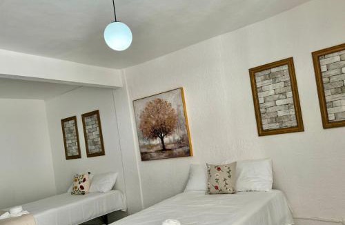 Tapachula Hotel | Lunah