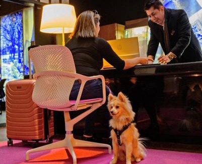 Miguel Hidalgo Hotel | Las Suites Campos Eliseos