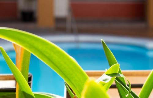 Playas de Tijuana Hotel | Del Mar Inn Playas