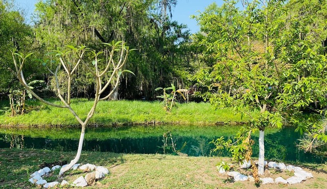 CAMPAMENTO QUINTA SAN PEDRO in Tamasopo