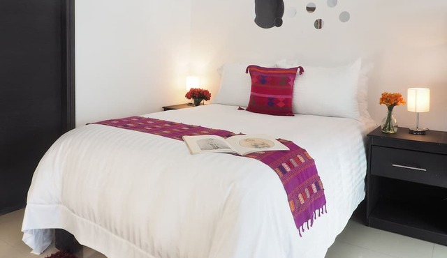 Loft Sinaloa By The Local Way in Mexico City
