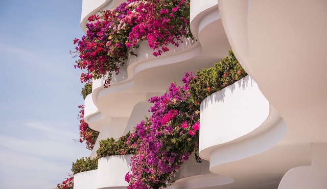Grand Miramar All Luxury Suites & Residences in Puerto Vallarta