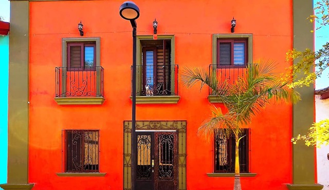 Casa del Arbol in San Blas