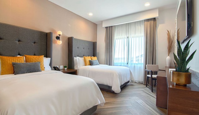 Bellafer Collection Hotel & Resort in Playas de Rosarito