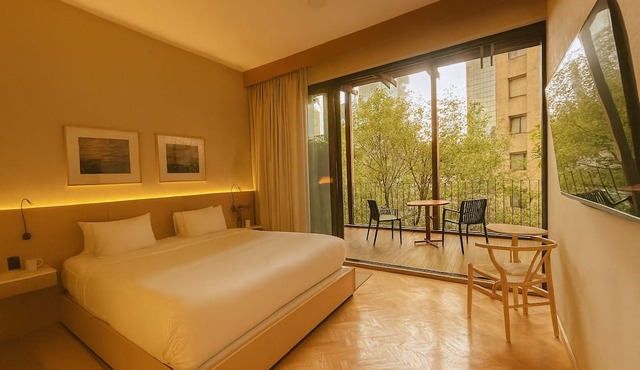 Ana Polanco Apartments in Mexico City