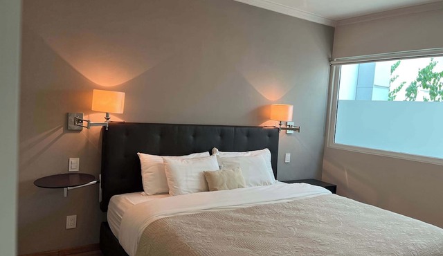 Arquímedes Art I Cozy 1BR in Polanco in Mexico City