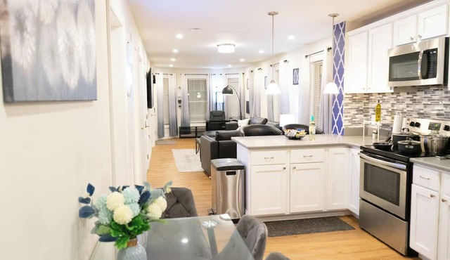 Modern & Stylish 1-Bedroom Condo near Downtown in Boston