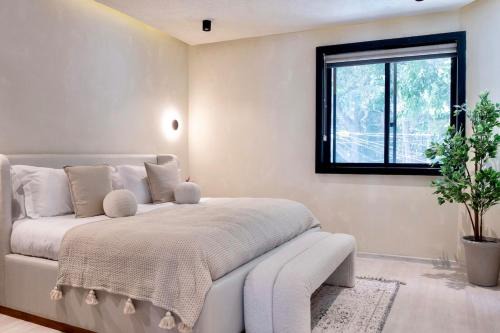 2 Luxury Villas in Condesa with Rooftops 18BR in Mexico City