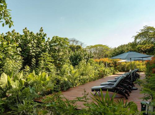 Armony Marival Resort & Spa Punta de Mita - MGallery collection in Punta Mita