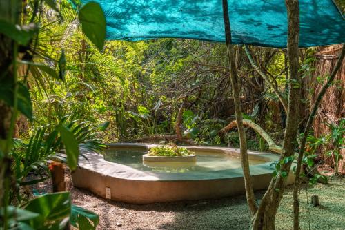 Jungle Glamping K'u' Kuk