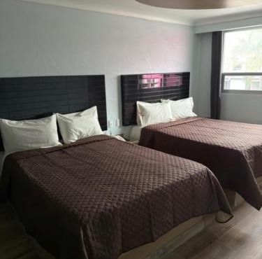 Hotel & Villas 7 in Mexico City