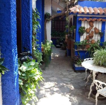 Casa de la Alameda in Cordoba